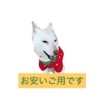 まぅの1日（個別スタンプ：30）