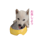 まぅの1日（個別スタンプ：32）