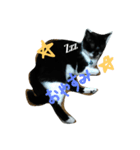 ぬんたという猫（個別スタンプ：5）