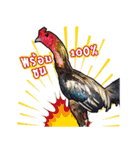 Kaichon Yod Nak Soo（個別スタンプ：12）