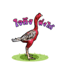 Kaichon Yod Nak Soo（個別スタンプ：17）