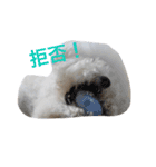 ぽぽのほっこり日常スタンプ（個別スタンプ：14）