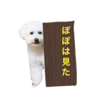 ぽぽのほっこり日常スタンプ（個別スタンプ：19）