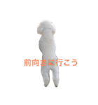 ぽぽのほっこり日常スタンプ（個別スタンプ：20）