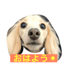 怪獣ごん様♡日常会話（個別スタンプ：1）