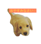 怪獣ごん様♡日常会話（個別スタンプ：2）