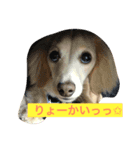 怪獣ごん様♡日常会話（個別スタンプ：3）