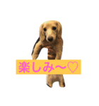 怪獣ごん様♡日常会話（個別スタンプ：6）