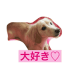 怪獣ごん様♡日常会話（個別スタンプ：7）