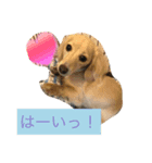 怪獣ごん様♡日常会話（個別スタンプ：8）