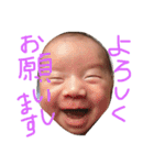 ハルくんスタンプ（個別スタンプ：17）