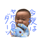 ハルくんスタンプ（個別スタンプ：20）