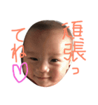 ハルくんスタンプ（個別スタンプ：26）