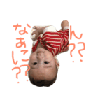 ハルくんスタンプ（個別スタンプ：33）