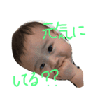 ハルくんスタンプ（個別スタンプ：37）