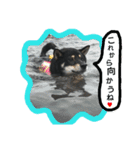 ワンラブ‼ パピーズ（個別スタンプ：8）