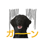 ワンラブ‼ パピーズ（個別スタンプ：20）