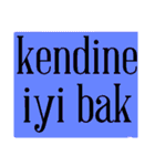 Turkish most used words（個別スタンプ：12）