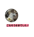 うちのラブ（個別スタンプ：12）