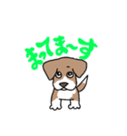かぶおさん（個別スタンプ：2）