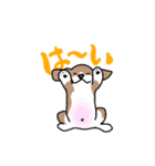 かぶおさん（個別スタンプ：5）