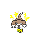 かぶおさん（個別スタンプ：8）