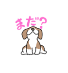 かぶおさん（個別スタンプ：9）