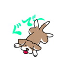 かぶおさん（個別スタンプ：12）