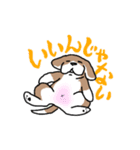 かぶおさん（個別スタンプ：13）