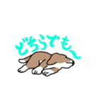 かぶおさん（個別スタンプ：20）