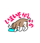 かぶおさん（個別スタンプ：21）