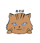 ネコねこマニアックス（個別スタンプ：12）