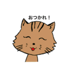 ネコねこマニアックス（個別スタンプ：13）