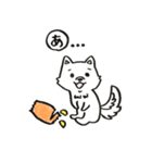 ポメラニアンのきなこ 挨拶編（個別スタンプ：1）