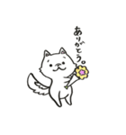 ポメラニアンのきなこ 挨拶編（個別スタンプ：5）