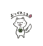 ポメラニアンのきなこ 挨拶編（個別スタンプ：6）