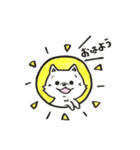 ポメラニアンのきなこ 挨拶編（個別スタンプ：8）