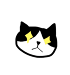 ハチワレニャンコスタンプtypeP（個別スタンプ：1）