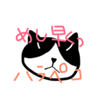 ハチワレニャンコスタンプtypeP（個別スタンプ：7）