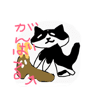 ハチワレニャンコスタンプtypeP（個別スタンプ：11）