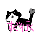 ハチワレニャンコスタンプtypeP（個別スタンプ：12）