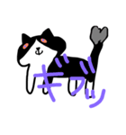 ハチワレニャンコスタンプtypeP（個別スタンプ：16）