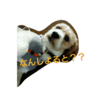 びっちゃん スタンプ（個別スタンプ：2）