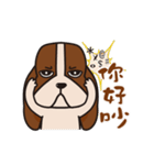 Basset hound of sadness with a smile（個別スタンプ：10）