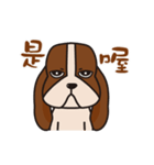 Basset hound of sadness with a smile（個別スタンプ：12）