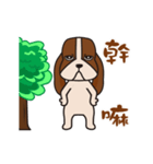 Basset hound of sadness with a smile（個別スタンプ：17）