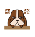 Basset hound of sadness with a smile（個別スタンプ：19）