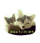 おにぎりとおむすび(文字)（個別スタンプ：1）