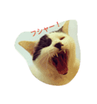 おにぎりとおむすび(文字)（個別スタンプ：3）