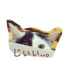 おにぎりとおむすび(文字)（個別スタンプ：8）